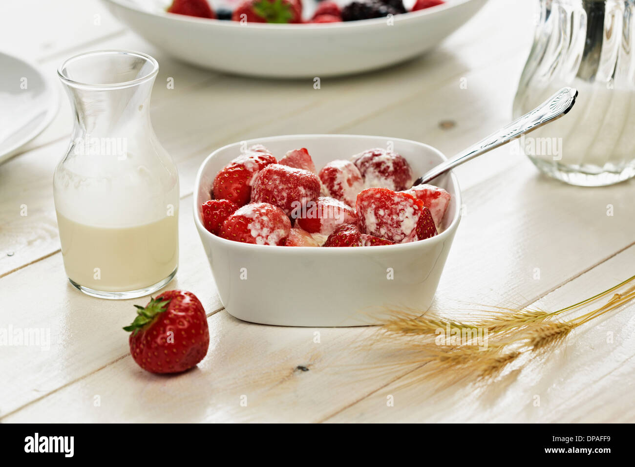 Schale mit Erdbeeren Stockfoto