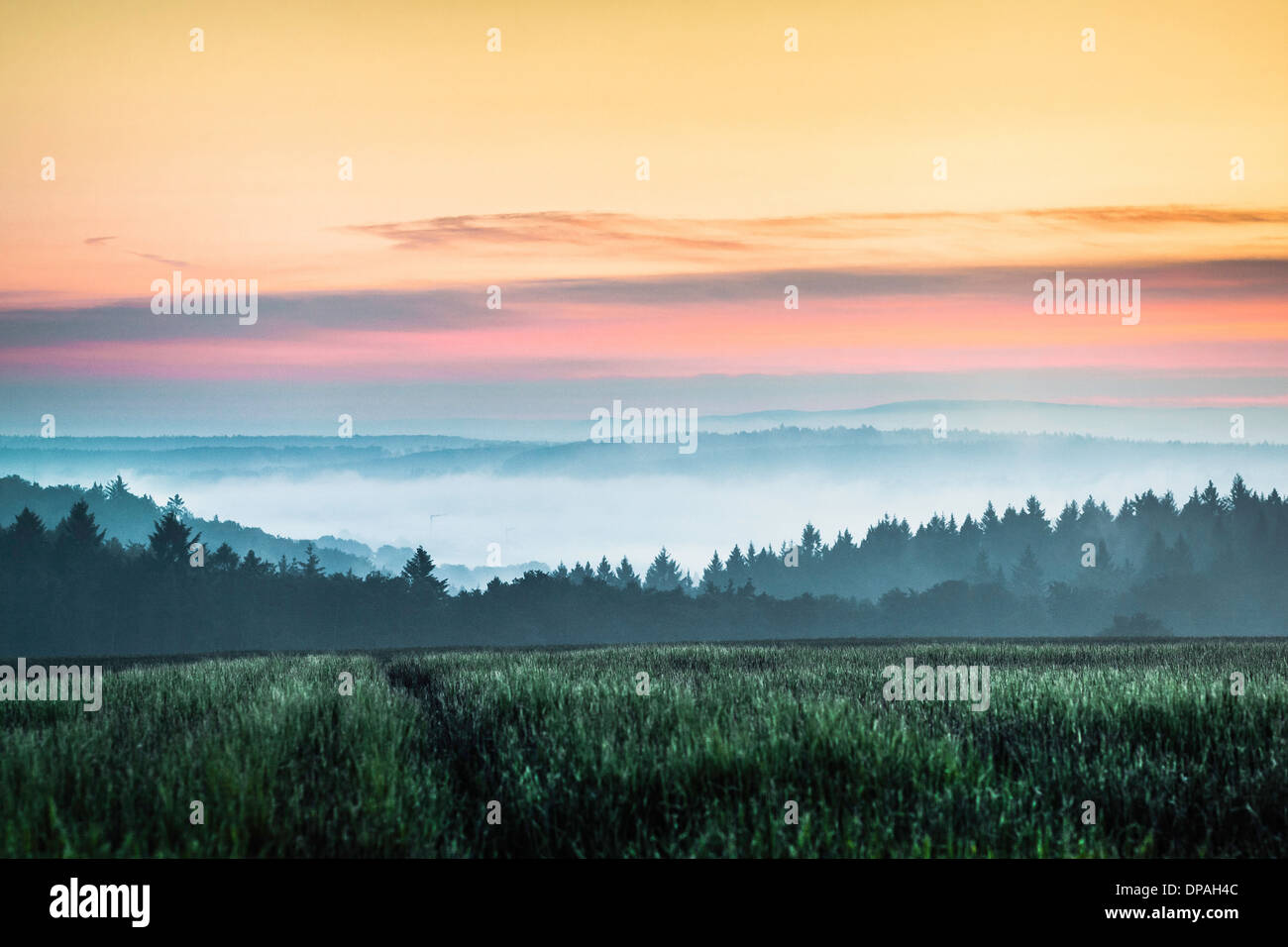 Sonnenuntergang über Feld, Nussbaum, Baden-Württemberg, Deutschland Stockfoto
