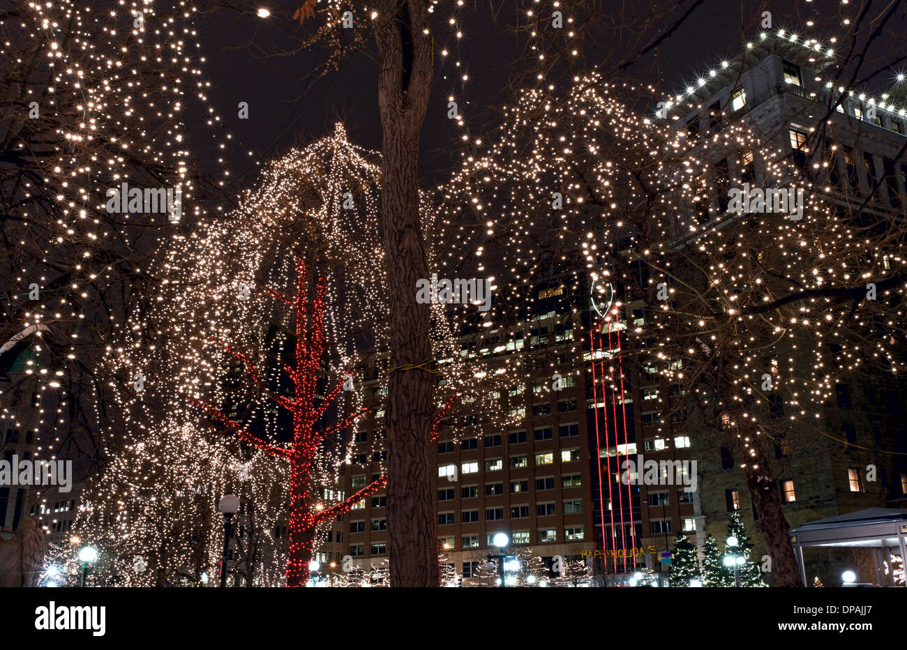 Reis park Holiday Lights auf Bäumen in der Innenstadt von Saint Paul Minnesota Stockfoto
