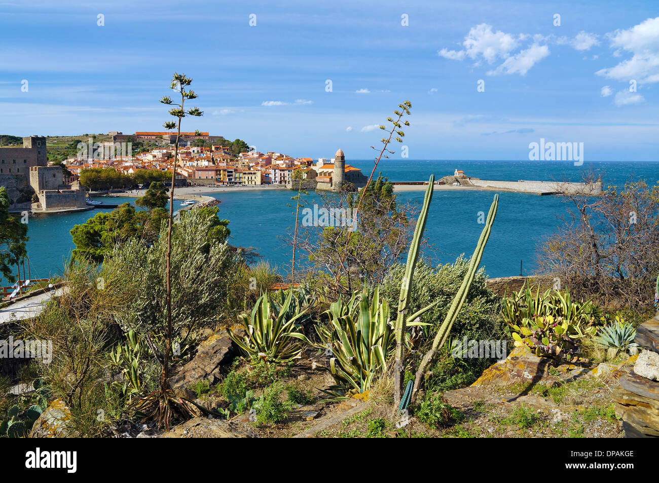 Mediterrane Vegetation, direkt am Meer mit schönen Dorf von Collioure, Cote Vermeille, Roussillon, Frankreich Stockfoto