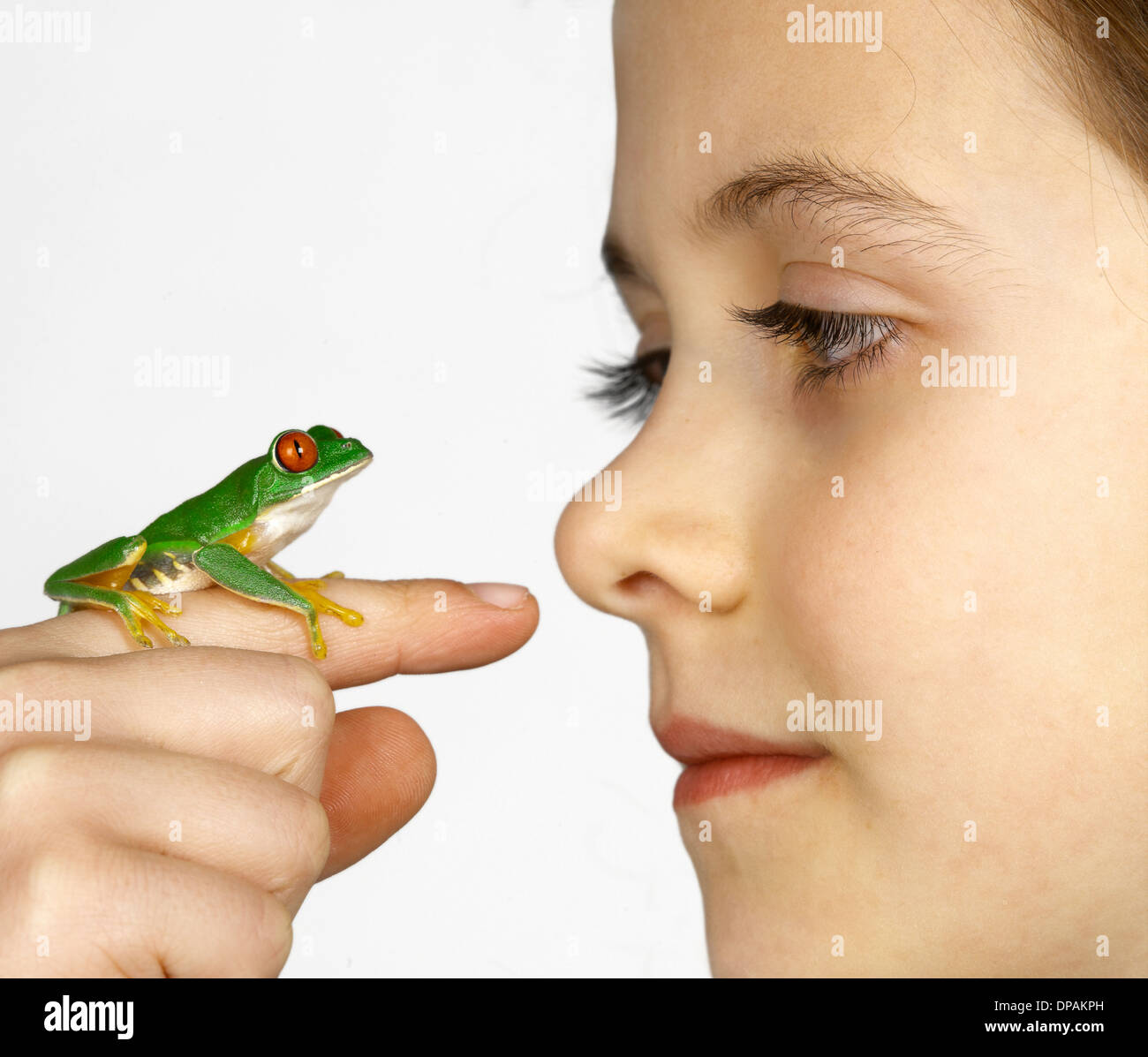 Mädchen mit einem rotäugigen Baumfrosch an ihrem finger Stockfoto