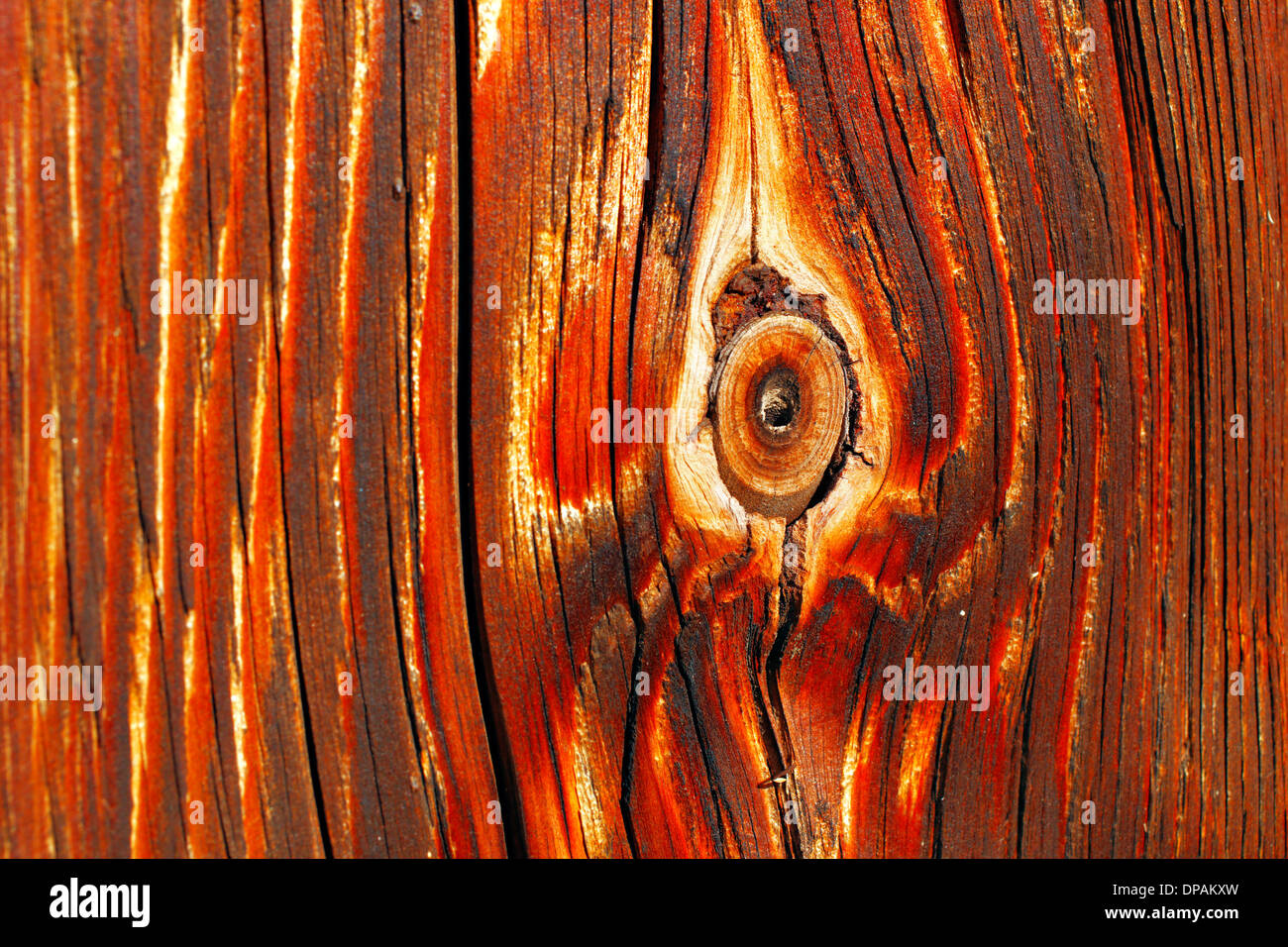Natürliche Details der Sonne getrocknete Holz einer 100 Jahre alten Scheune Stockfoto