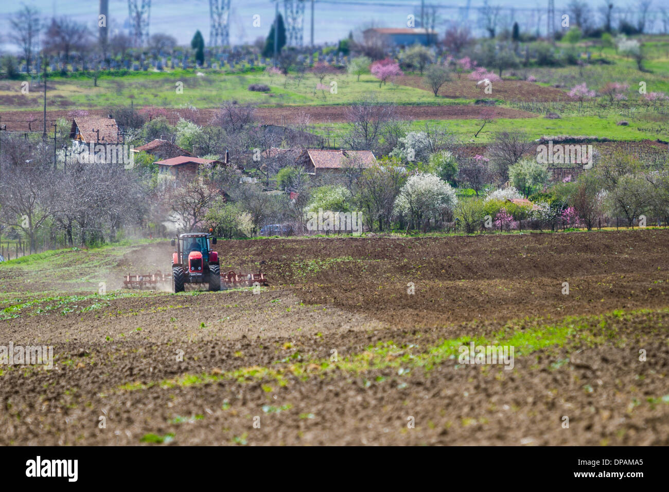 Brandneuen roten Traktor auf dem Feld arbeiten Stockfoto