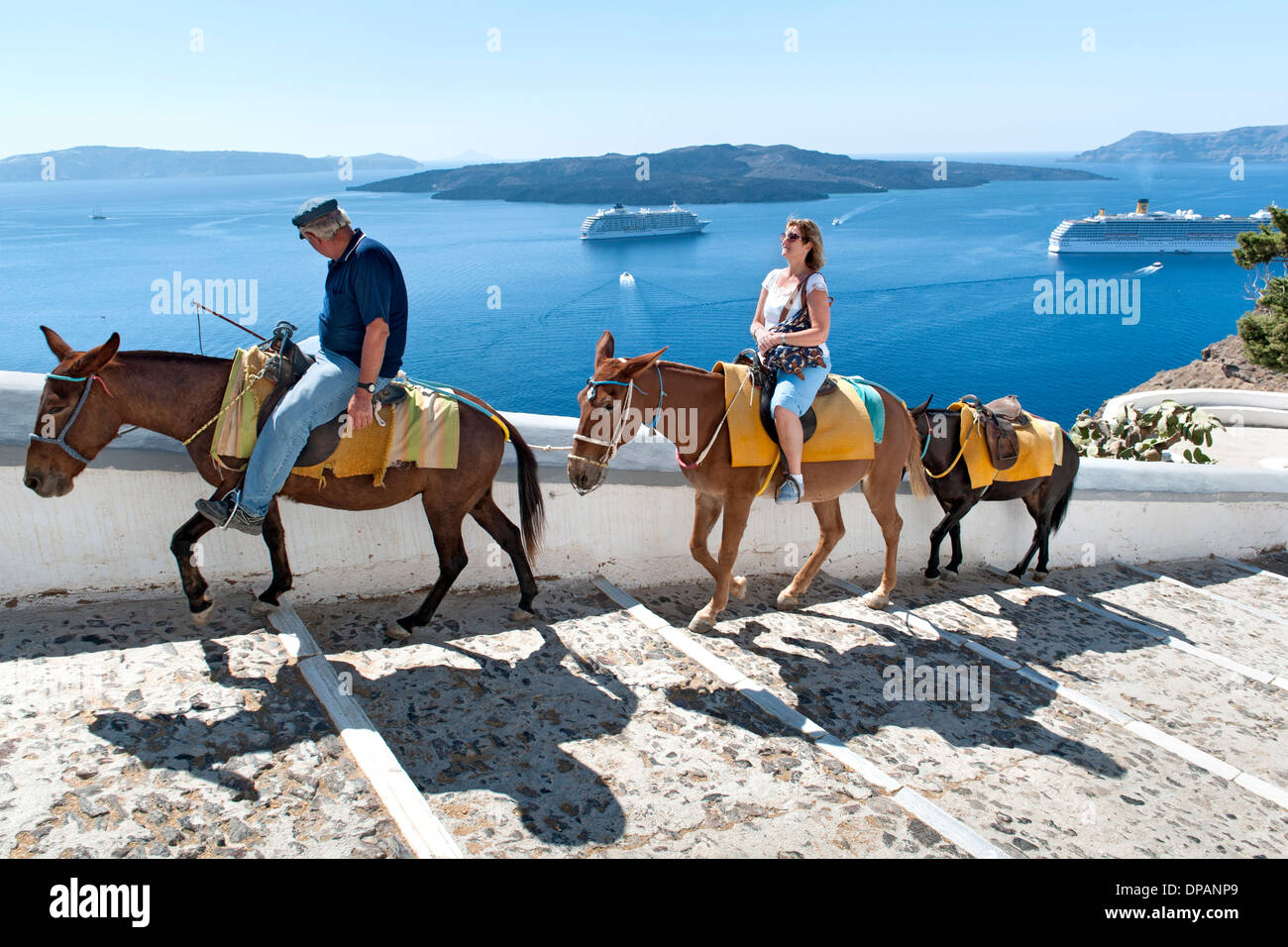 Touristisches Reiten einen Esel die Stufen führen vom alten Hafen, das Dorf Fira auf der griechischen Insel Santorin. Stockfoto