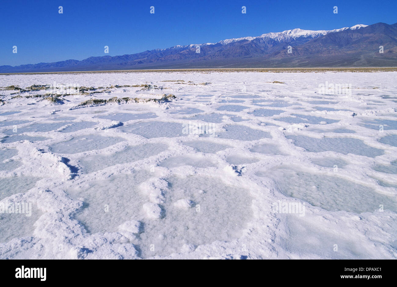 Elk248-1511 Kalifornien, Death Valley Nationalpark, Devils Golf Course, Salz pools Stockfoto