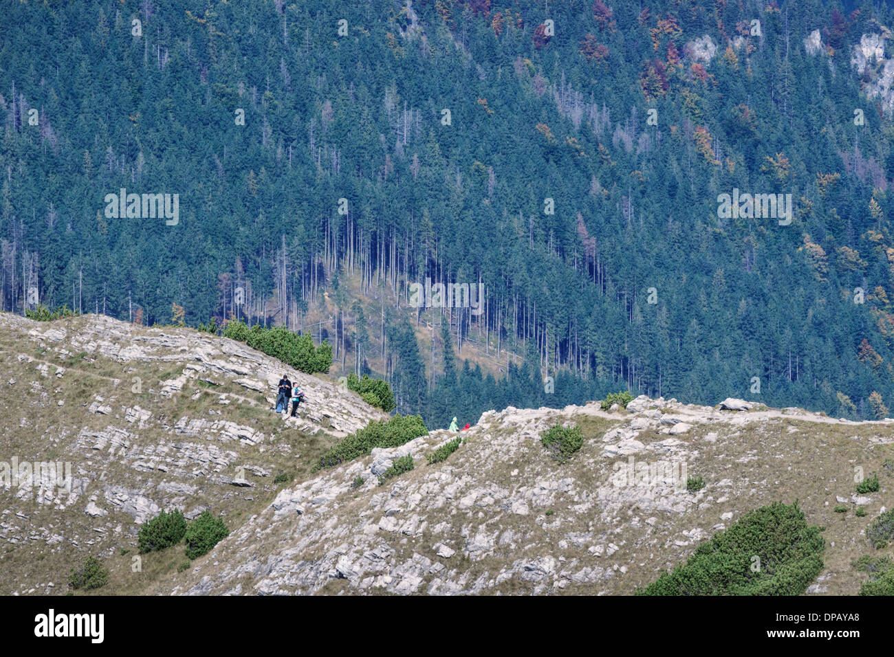 Wandern hohe Tatra-Gebirge, Zakopane, Polen, Europa Stockfoto