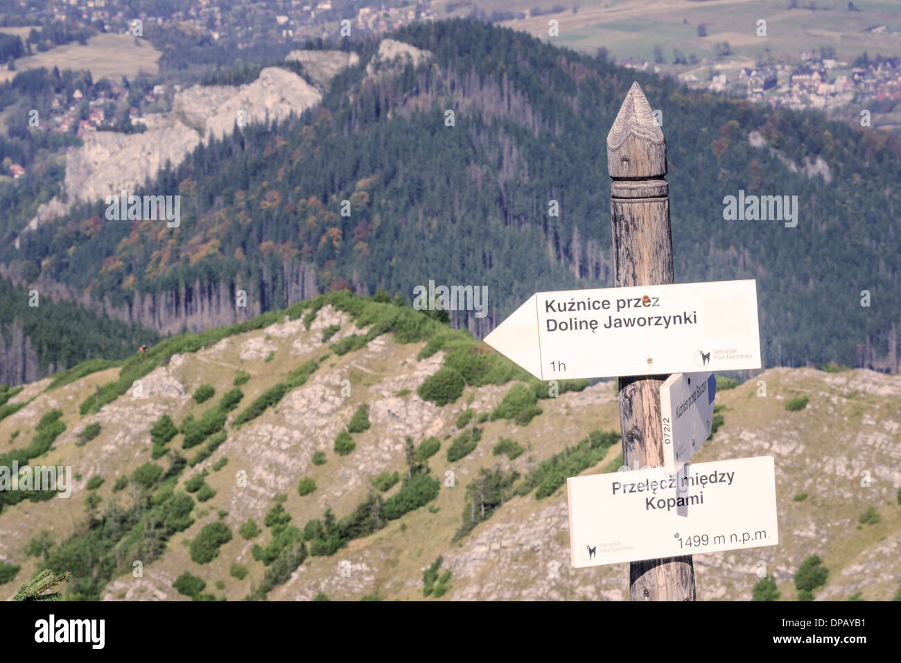 Melden Sie auf Wanderweg in der hohen Tatra, Zakopane, Polen, Europa Stockfoto