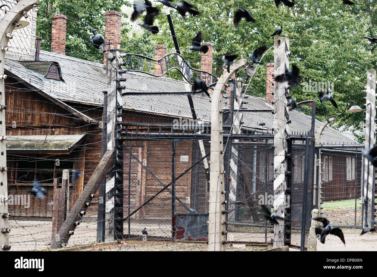 Schwarze Vögel fliegen herum Eingangstor am Auschwitz Konzentration Lager, Oswiecim, Polen, Europa Stockfoto
