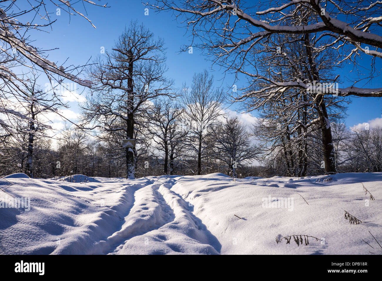 Winterlandschaft Stockfoto