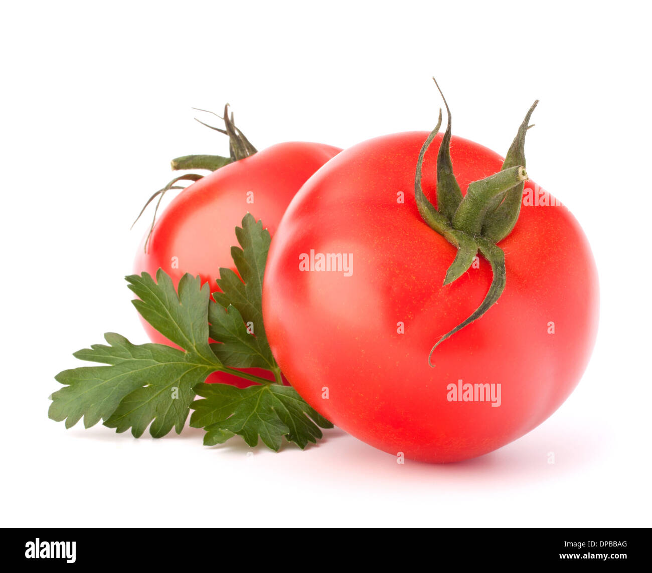 Zwei Tomaten Gemüse und Petersilie Blätter Stillleben isoliert auf weißem Hintergrund Ausschnitt Stockfoto