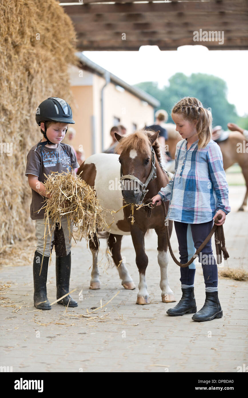 Deutschland, NRW, Korchenbroich, jungen und Mädchen im Reitstall mit Mini-Shetland-pony Stockfoto