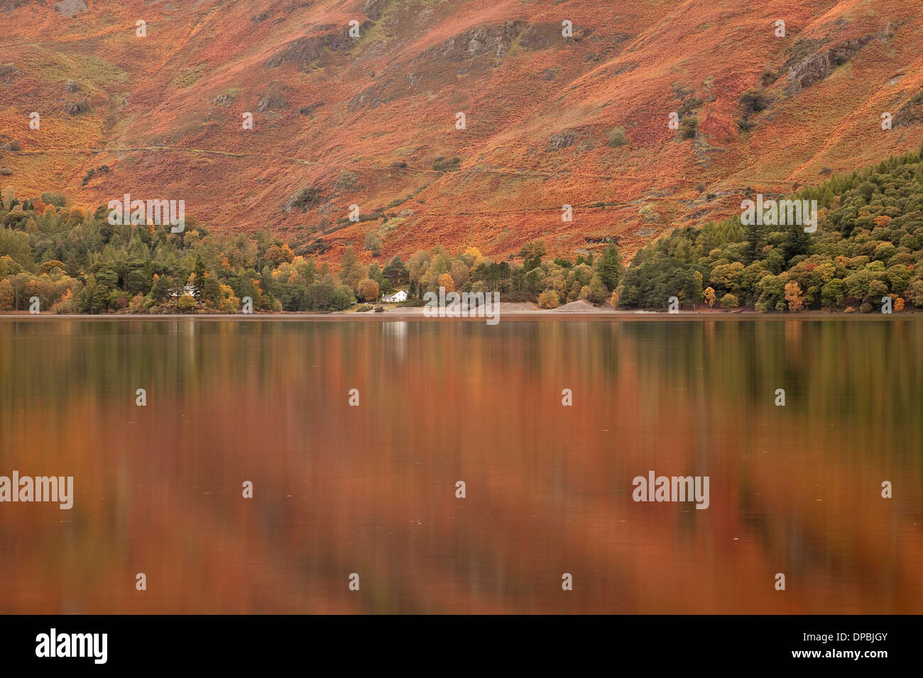Herbstfärbung in Derwent Water in der Nähe von Keswick im Lake District National Park. Stockfoto