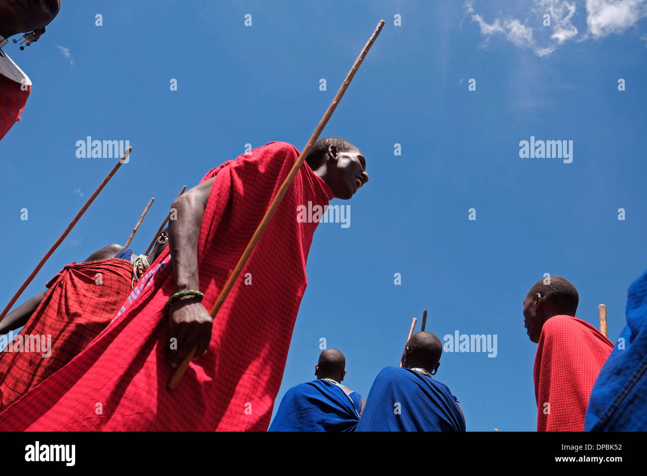 Maasai Krieger Tragen eines traditionellen roten shuka Robe, führen Sie eine Art von März - Vergangenheit während des traditionellen Eunoto ceremony in einem kommenden alt Zeremonie für junge Krieger in der Masai Stamm in der Ngorongoro Conservation Area im Krater im Hochland von Tansania Ostafrika durchgeführt Stockfoto