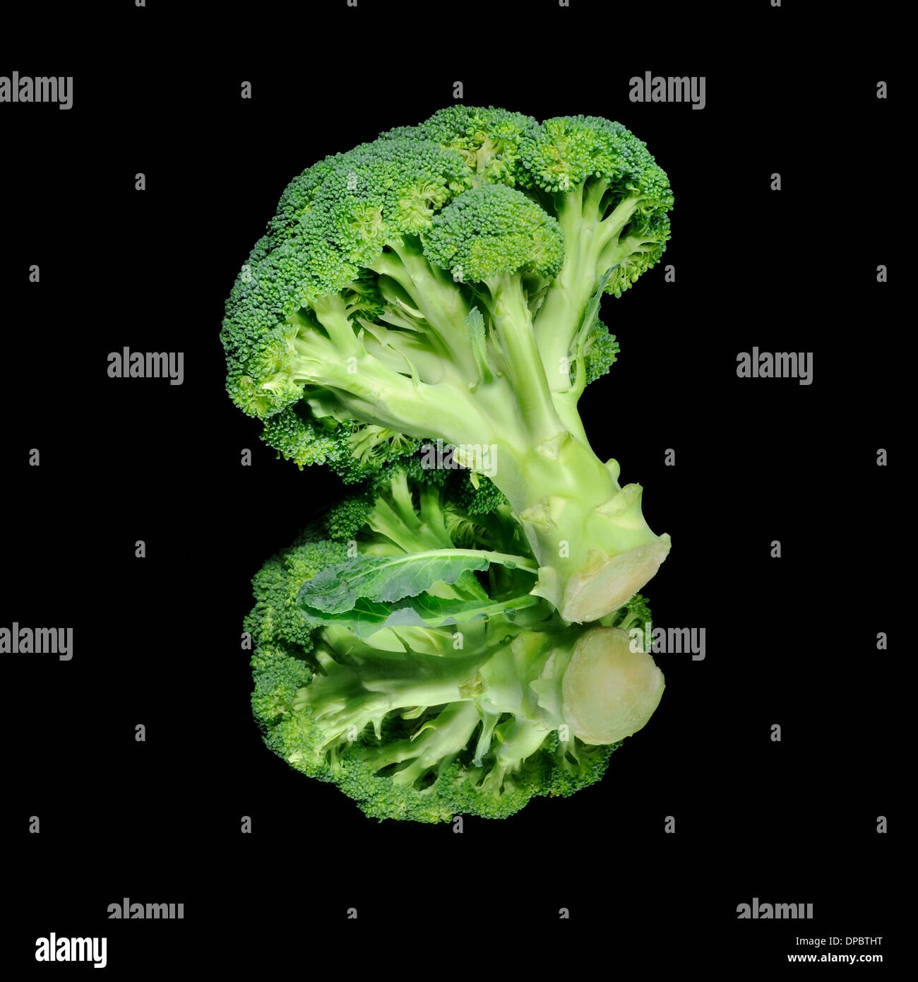 Brokkoli auf Spiegel mit schwarzem Hintergrund, Stockfoto