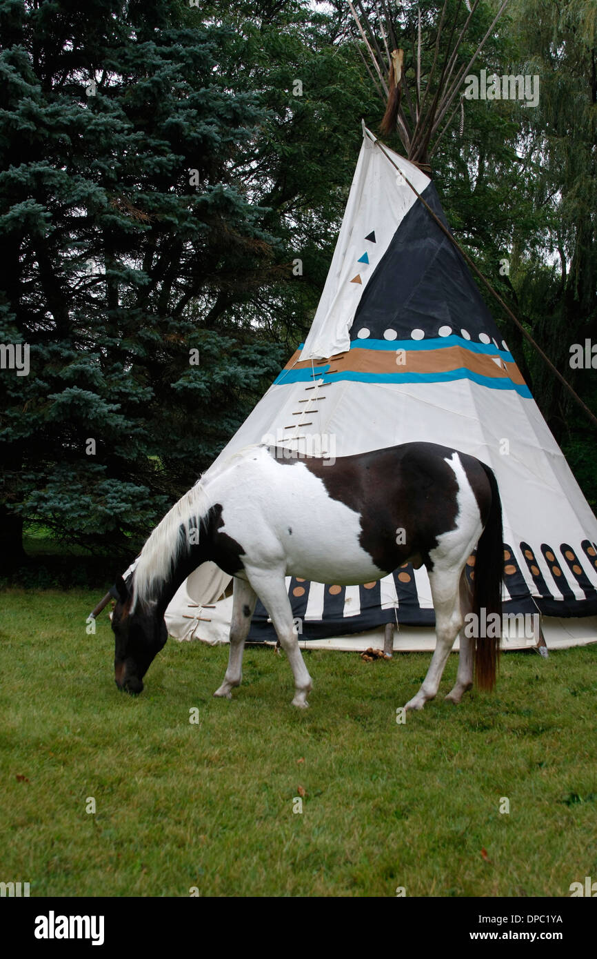 Farben-Pferd vor einem tipi Stockfoto