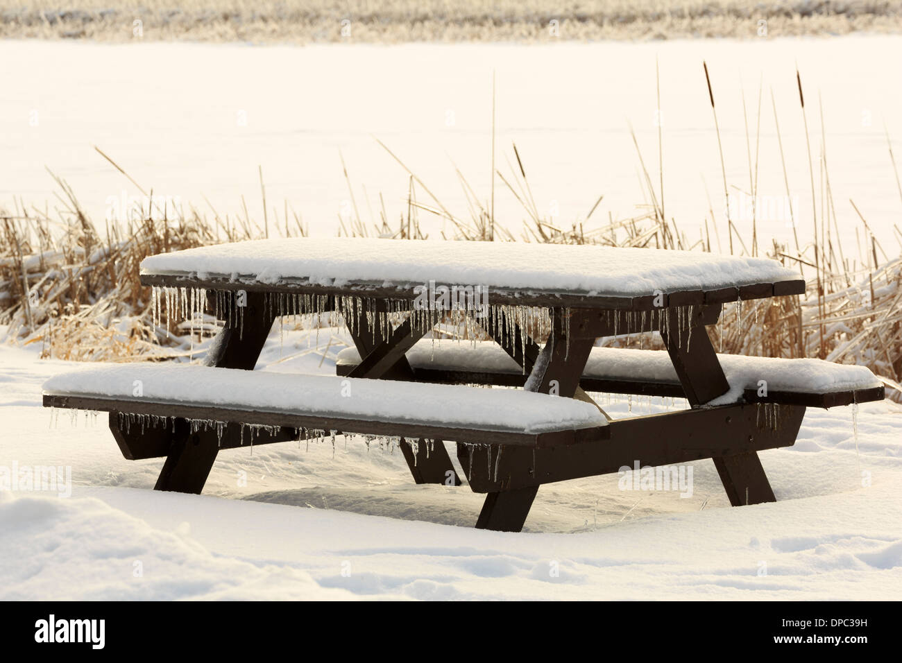 Picknick-Tisch mit Schnee und Eiszapfen nach einem Wintersturm Stockfoto