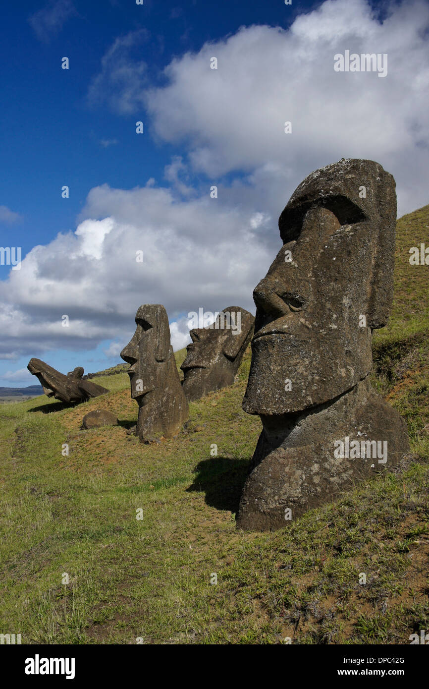 Moais am Rano Raraku Steinbruch, Osterinsel, Chile Stockfoto