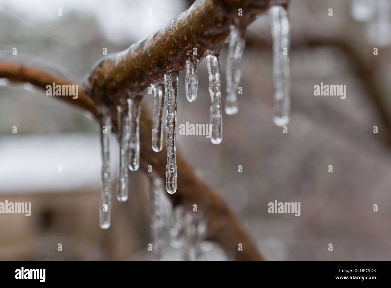Eisigen regen Eiszapfen auf AST - Virginia USA Stockfoto