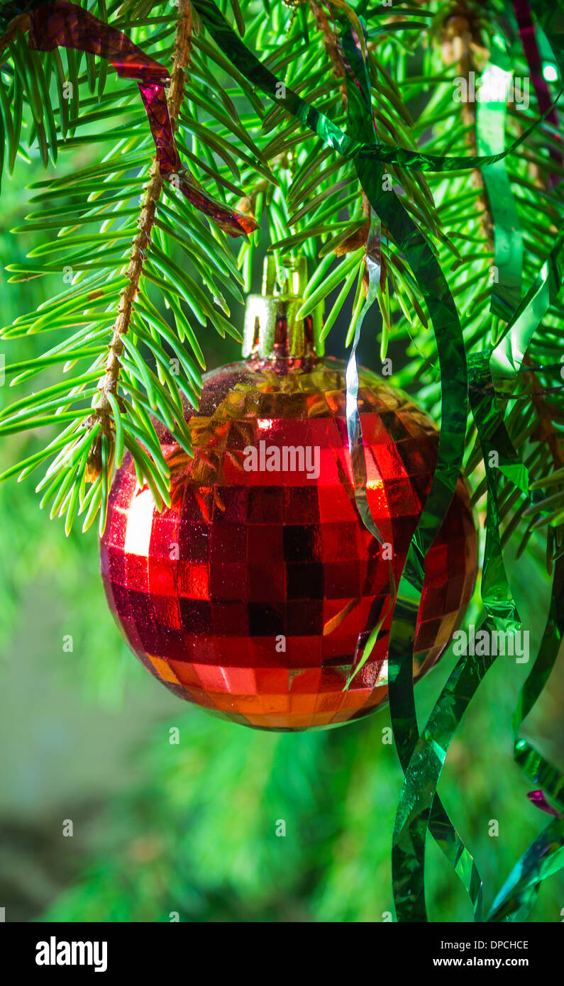 Rote Weihnachtskugel auf Tanne branches 2 Stockfoto