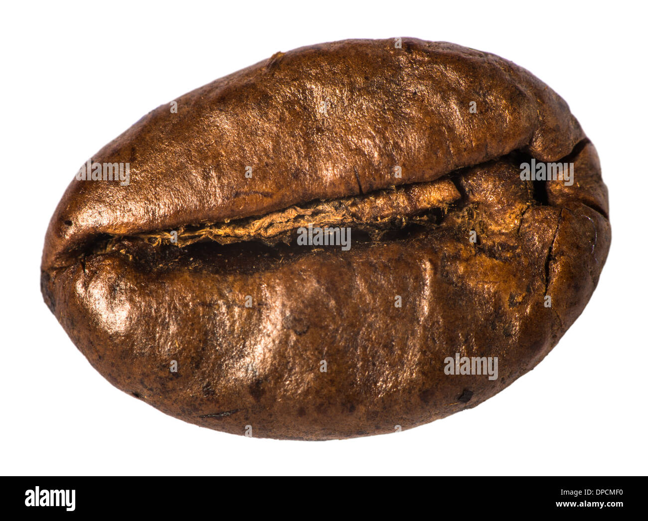 Getreidekaffee. Extrem nah oben Makro erschossen. Weiß isoliert Stockfoto