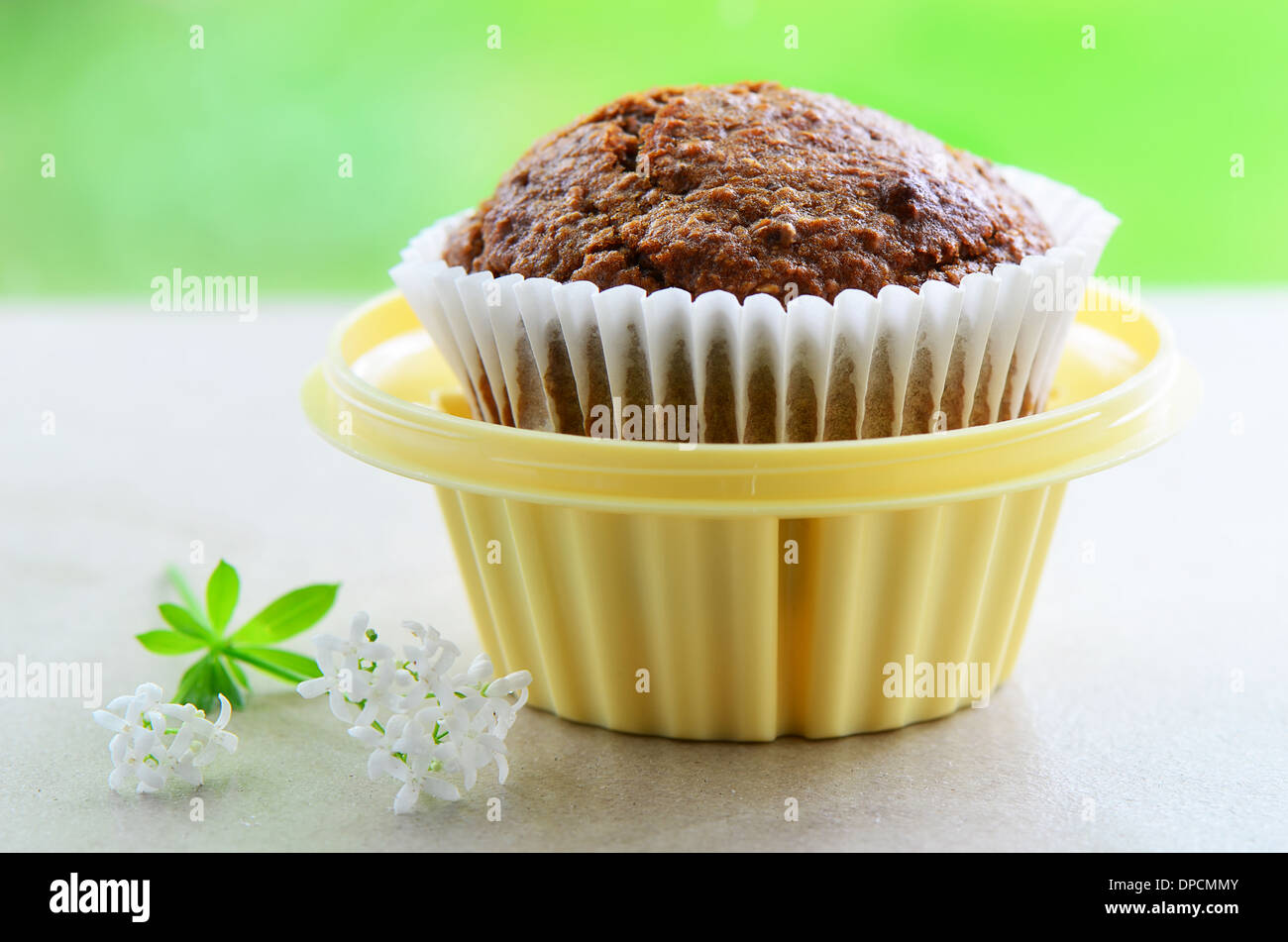 Frisch gebackene Bran Muffin in tragbaren Cupcake Halter auf Frühling grün Hintergrund Stockfoto
