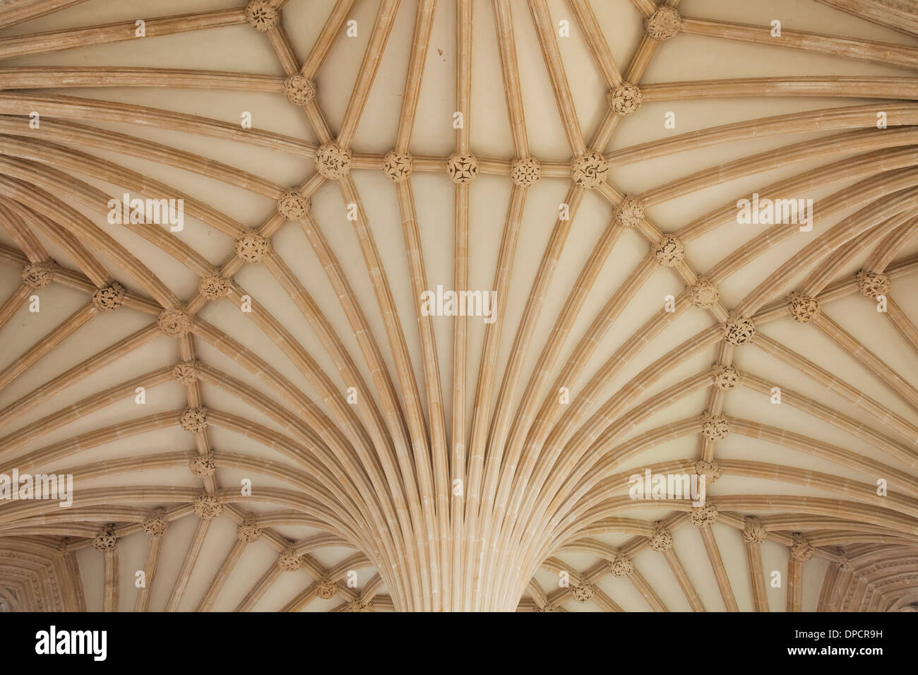 Detail der Kapitelsaal Decke in der Kathedrale von Wells, England. Stockfoto