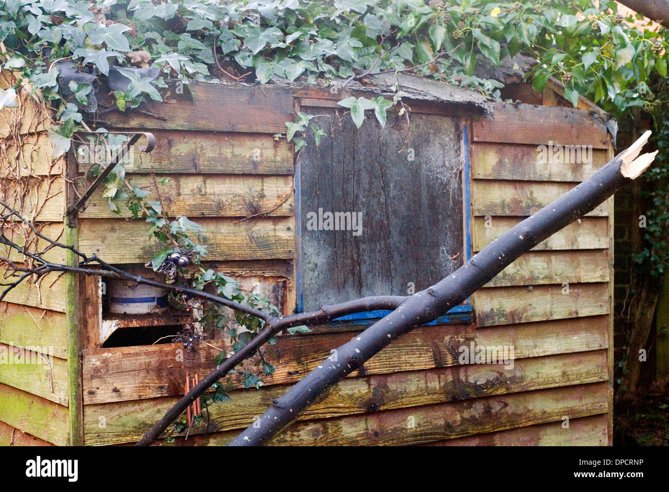 verfallene aufgeschlüsselt Holzschuppen im heimischen Garten Stockfoto