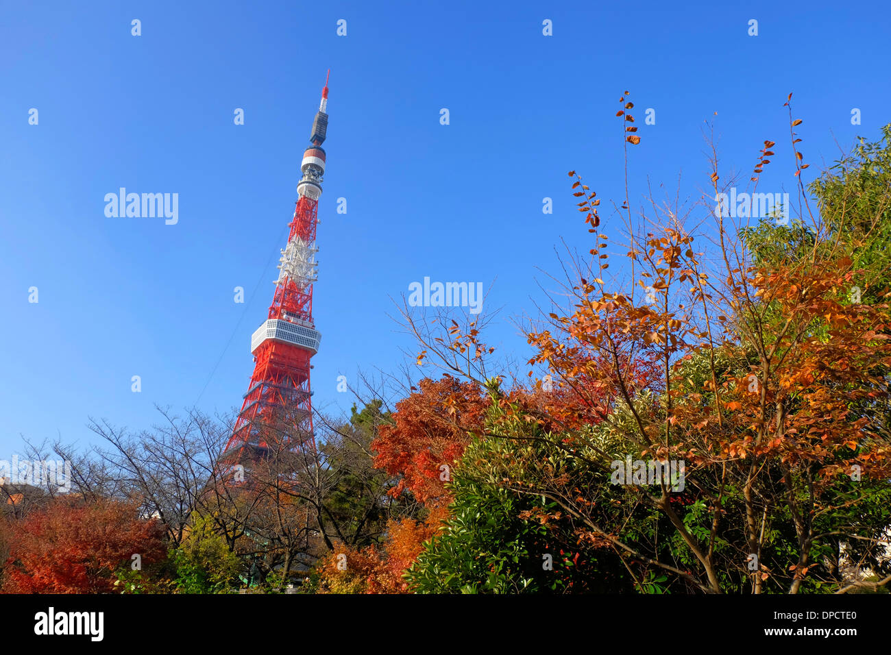 Tokyo Tower, blauer Himmel, Herbst Stockfoto