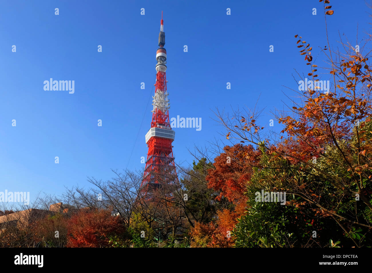 Tokyo Tower, blauer Himmel, Herbst Stockfoto