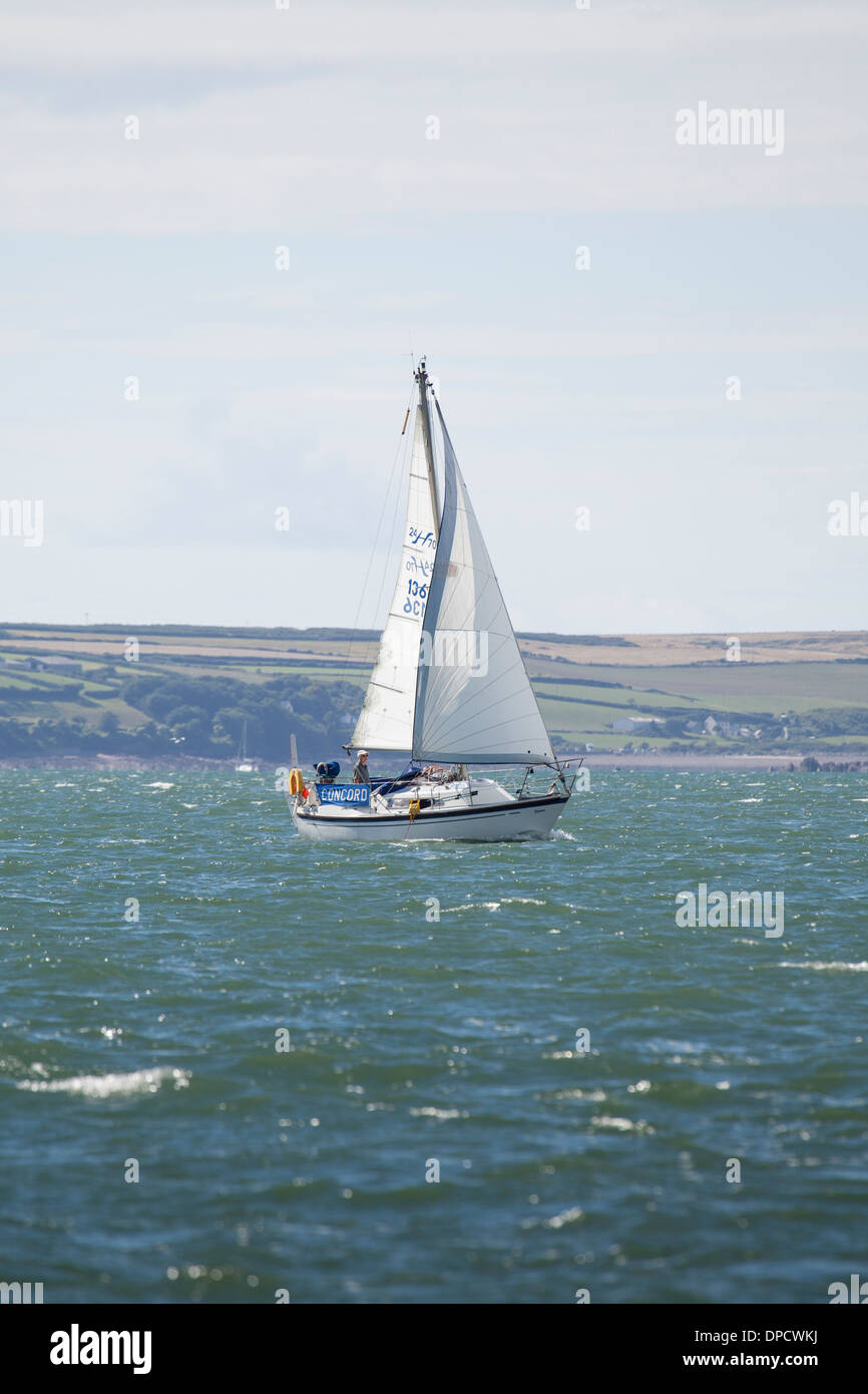 Saiiling Boot auf der Cleddau Mündung, Pembrokeshire, Wales UK Stockfoto