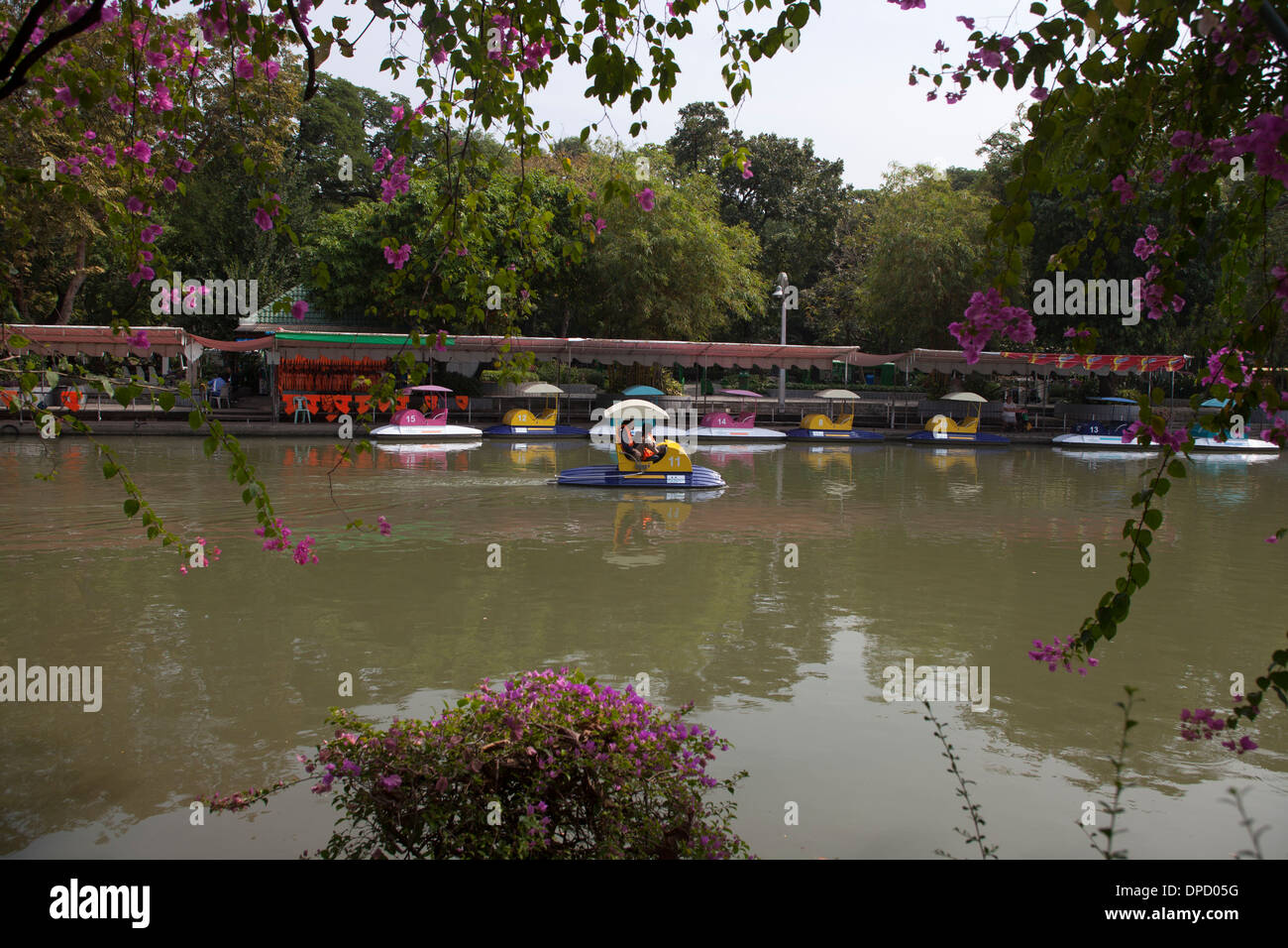 Bootfahren im Dusit Zoo in Bangkok. Stockfoto