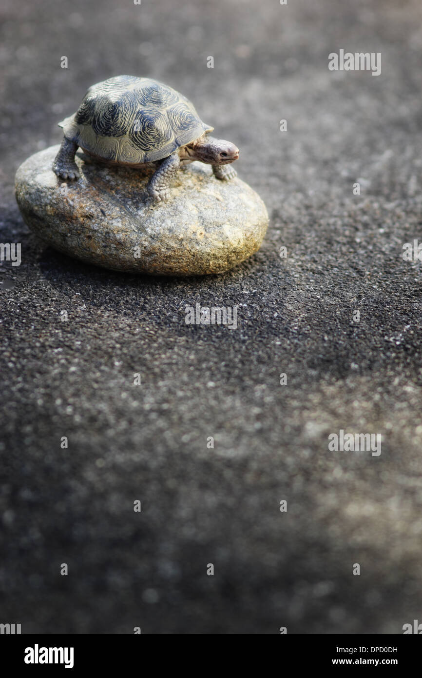 Eine Schildkröte Spielzeug erscheint auf einem einzigen glatten Creek Stein gestrandet zu sein. Stockfoto