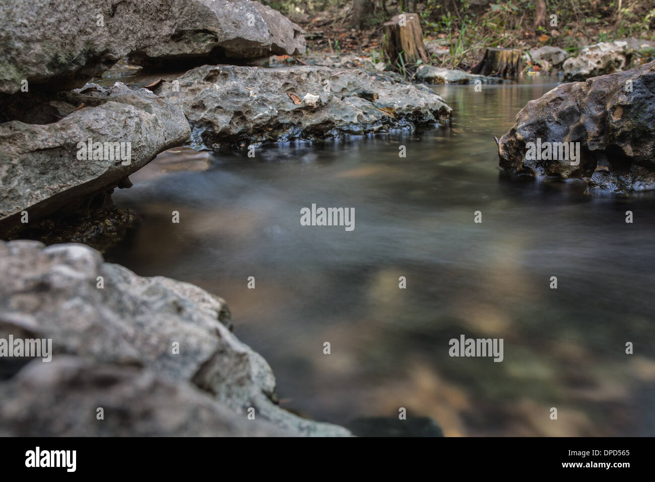 Wasser läuft zwischen Felsen in einem Bach im Wald Stockfoto