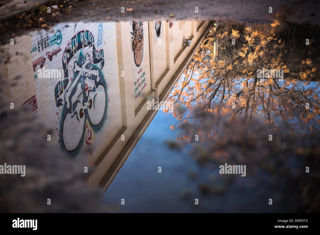 Bis zum Tod tun Sie uns Teil Graffiti von Federico Archuleta - spiegelt sich in einer Wasserpfütze in Austin, Texas Stockfoto