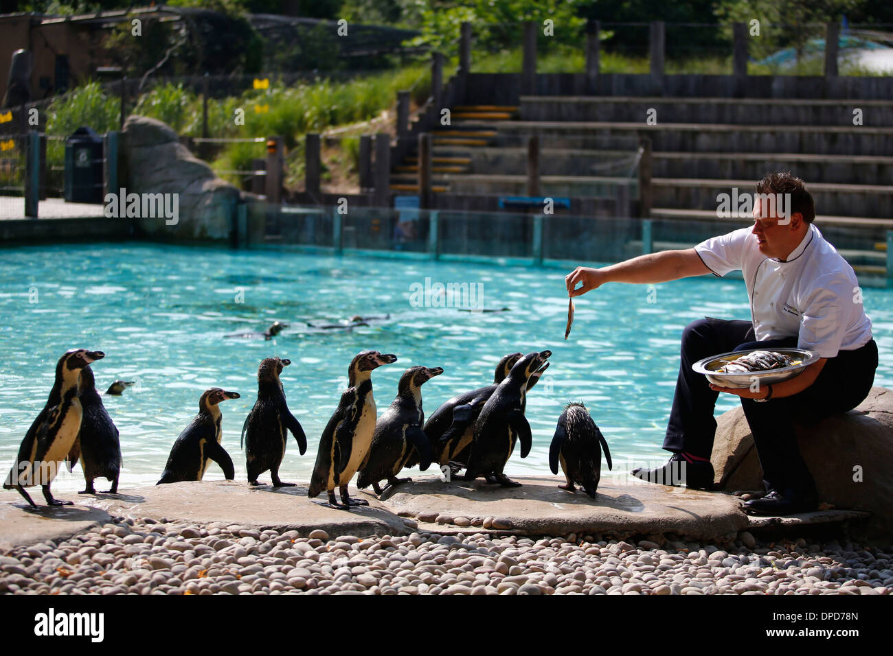 ZSL London Zoo Stockfoto