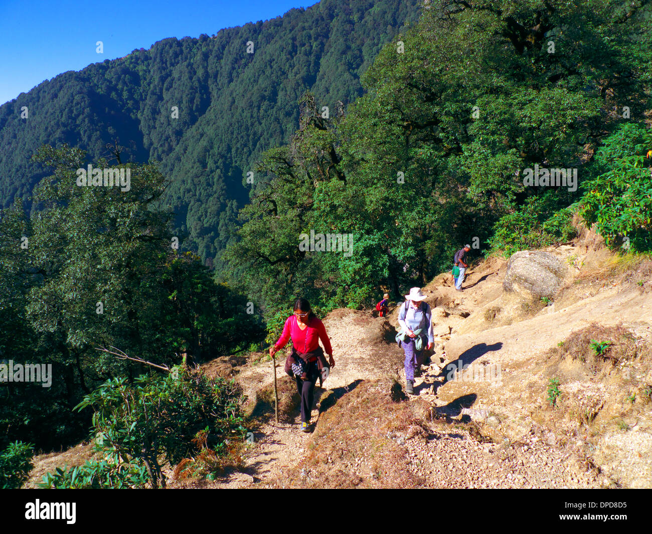 Wanderer auf Trek/Pilgerweg über Gehra, Richtung Areri See, Nr. Mcleodganj, Himachal Pradesh, N. Indien. Stockfoto