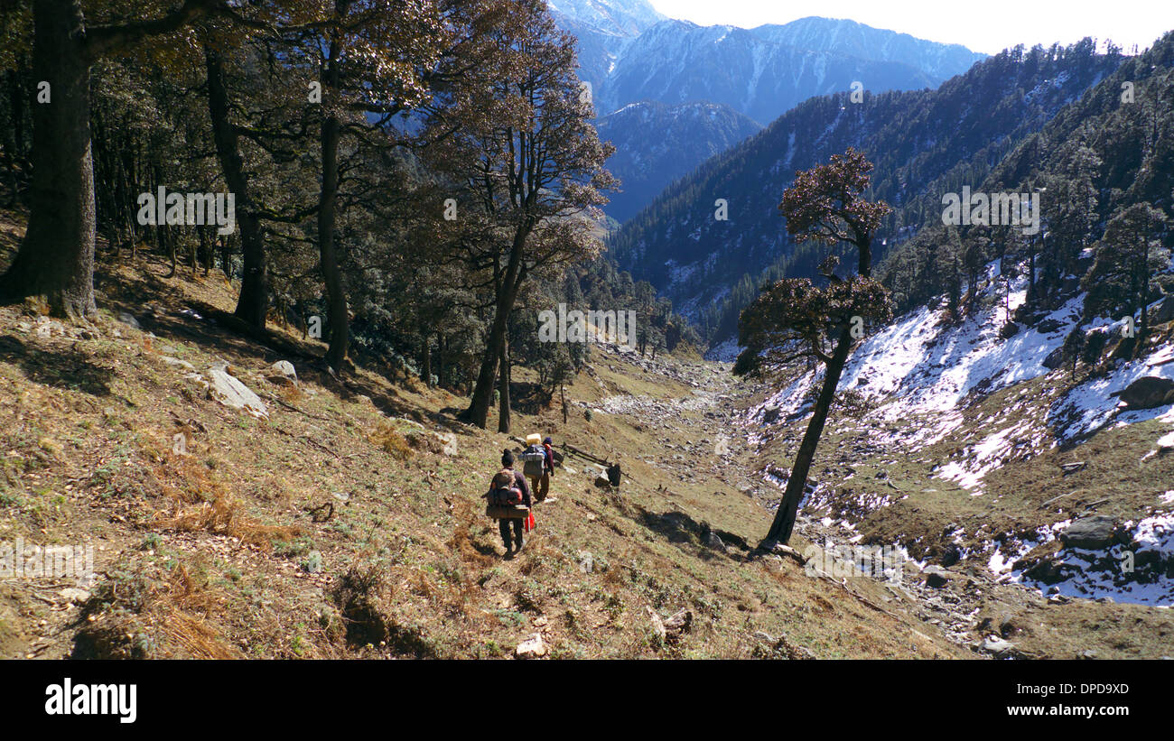 Trek Träger absteigender Rhella Tal von Kareri Lake, Bhaga, Nr. Mcleodganj, Himachal Pradesh, N. Indien. Stockfoto