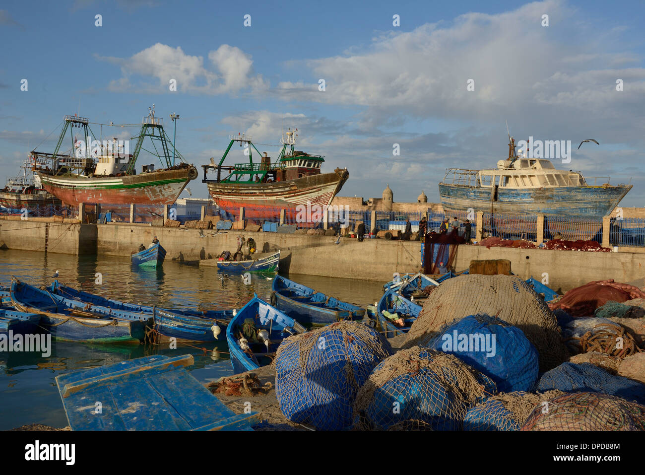 Marokko, Essaouira, der Fischerhafen, die Rückkehr der Fischer Stockfoto