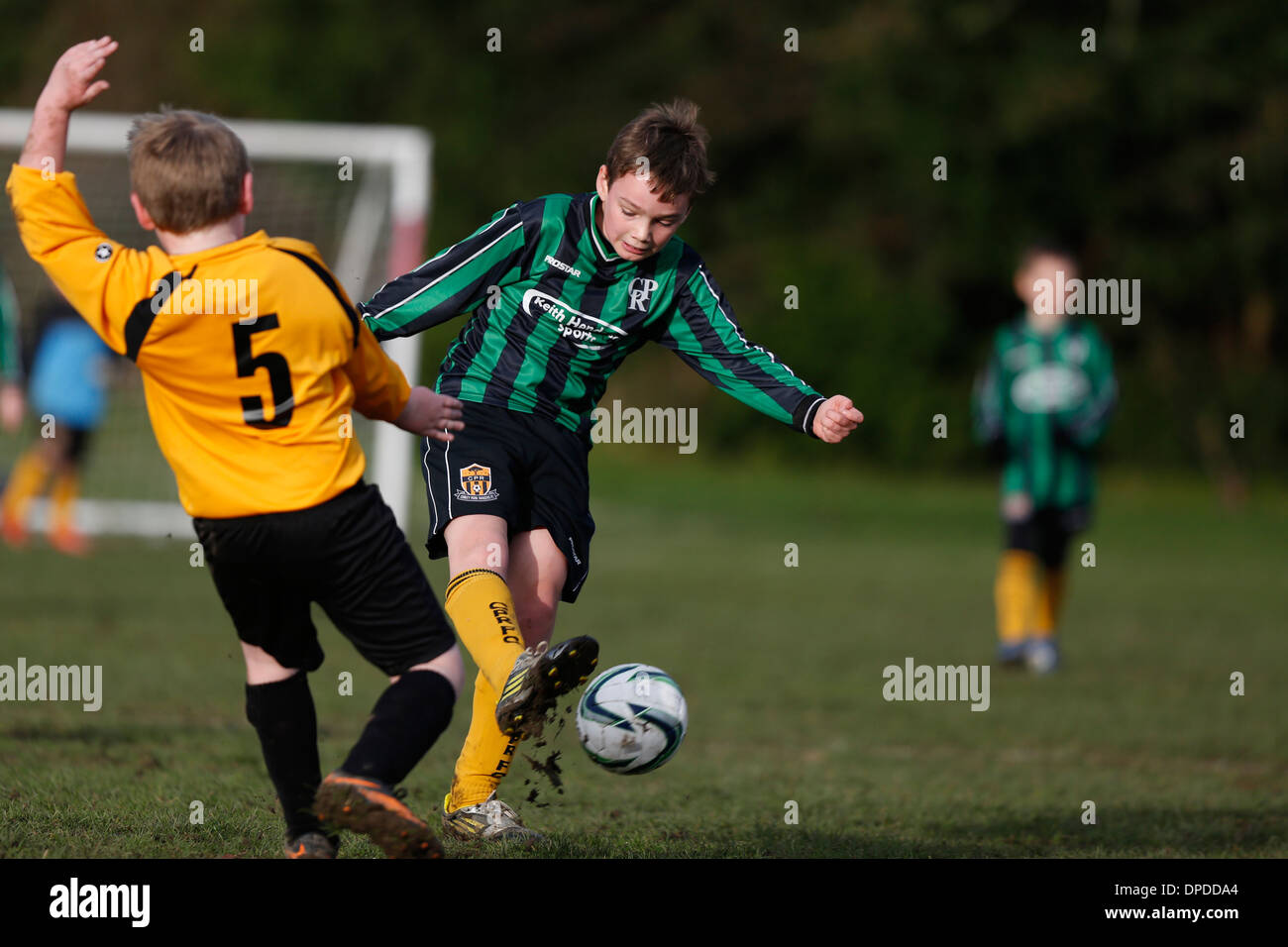 Hartley Wintney Falken junior Football Team (gelb) spielen Curley Park Rangers in einem Jugendfußball in Hampshire 14.12.13 übereinstimmen Stockfoto