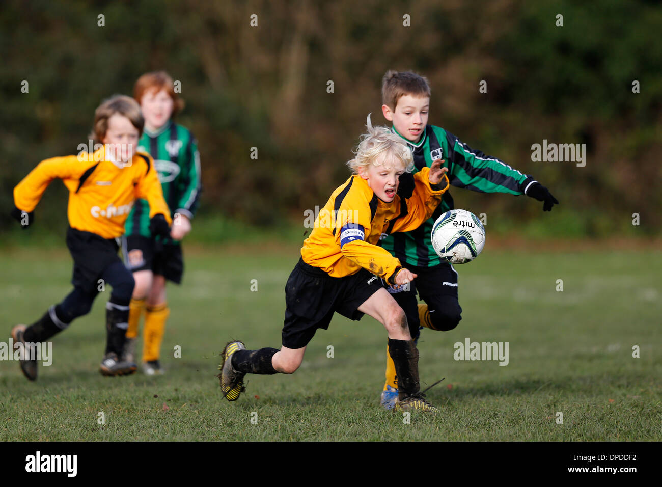 Hartley Wintney Falken junior Football Team (gelb) spielen Curley Park Rangers in einem Jugendfußball in Hampshire 14.12.13 übereinstimmen Stockfoto