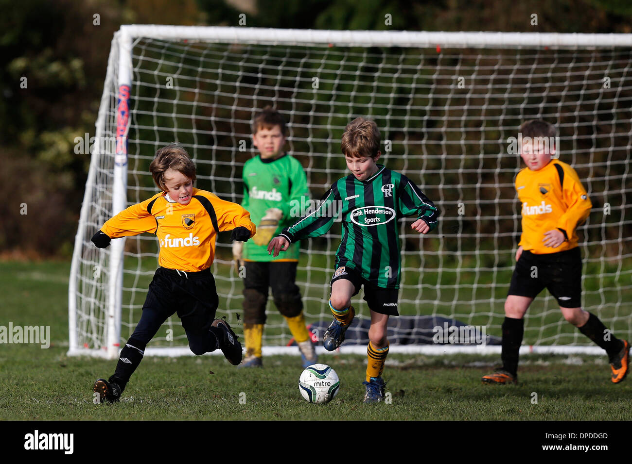 Hartley Wintney Falken junior Football Team (gelb) spielen Curley Park Rangers in einem Jugendfußball in Hampshire 14.12.13 übereinstimmen Stockfoto