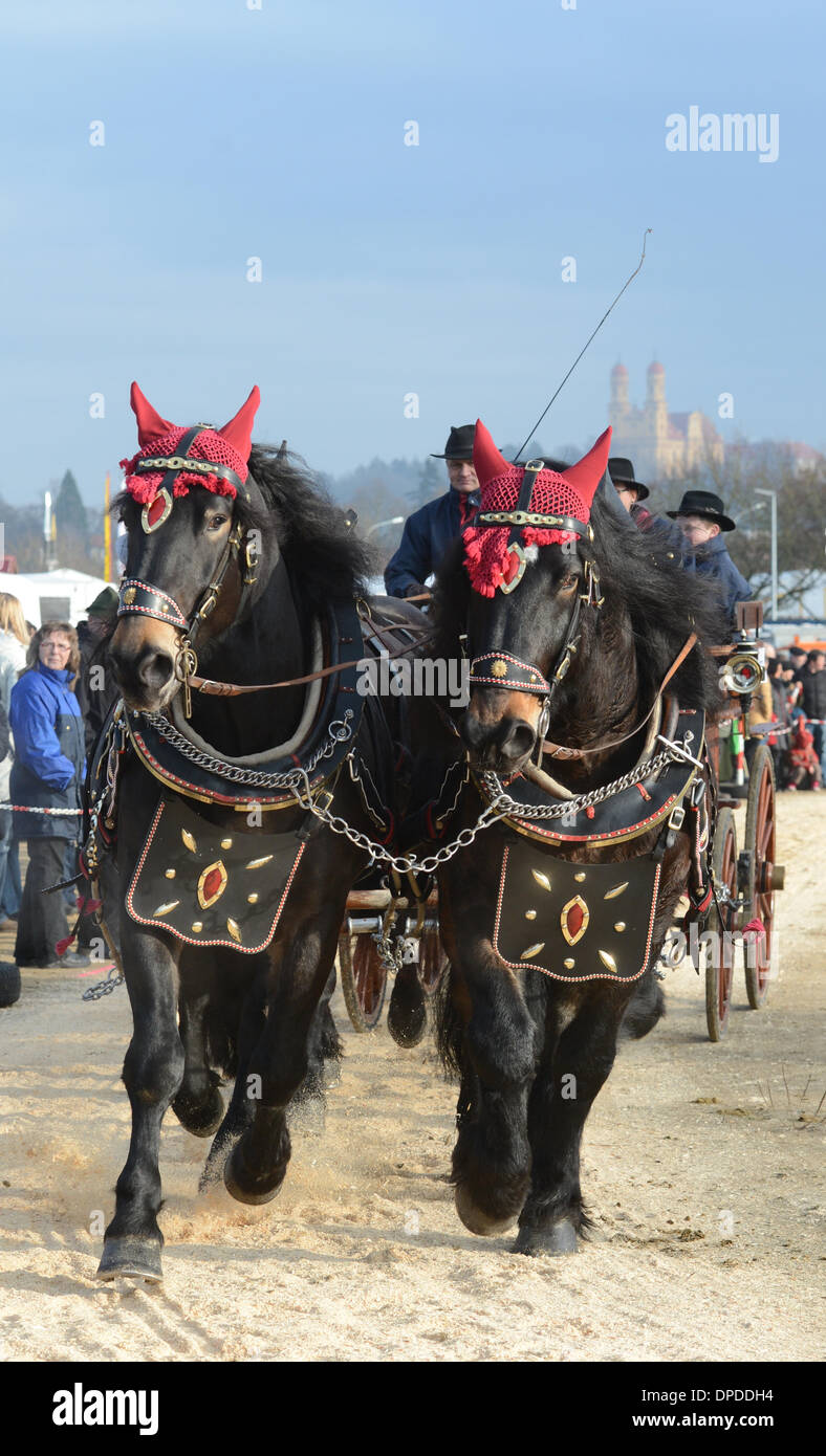 Ellwangen, Deutschland. 13. Januar 2014. Anton Schiele präsentiert eine Vierspännige während der Pferdekutsche Preis beim "Kalter Markt" (lit. kalten Markt)-Pferdemarkt in Ellwangen, Deutschland, 13. Januar 2014 von Noriker Pferden gezogen. Seit dem 17. Jahrhundert findet der "Kalter Markt" Pferdemarkt jährlich am ersten Montag nach dem Dreikönigstag. Eine große Parade und die Verleihung eines Preises für Pferde und Kutschen sind Teil des Ereignisses. Foto: FRANZISKA KRAUFMANN/Dpa/Alamy Live-Nachrichten Stockfoto