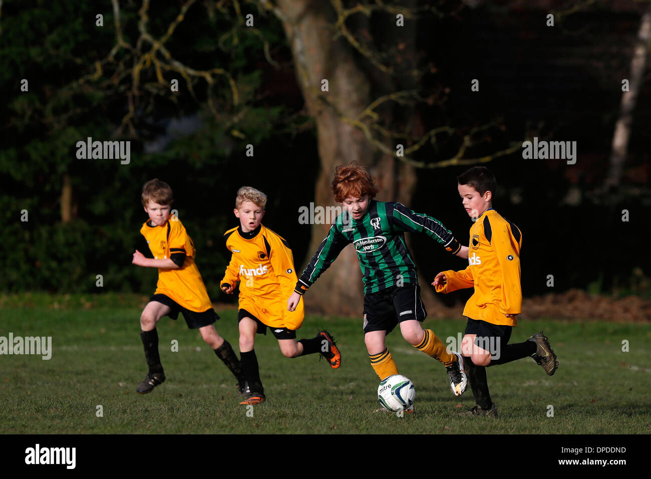 Hartley Wintney Falken junior Football Team (gelb) spielen Curley Park Rangers in einem Jugendfußball in Hampshire 14.12.13 übereinstimmen Stockfoto