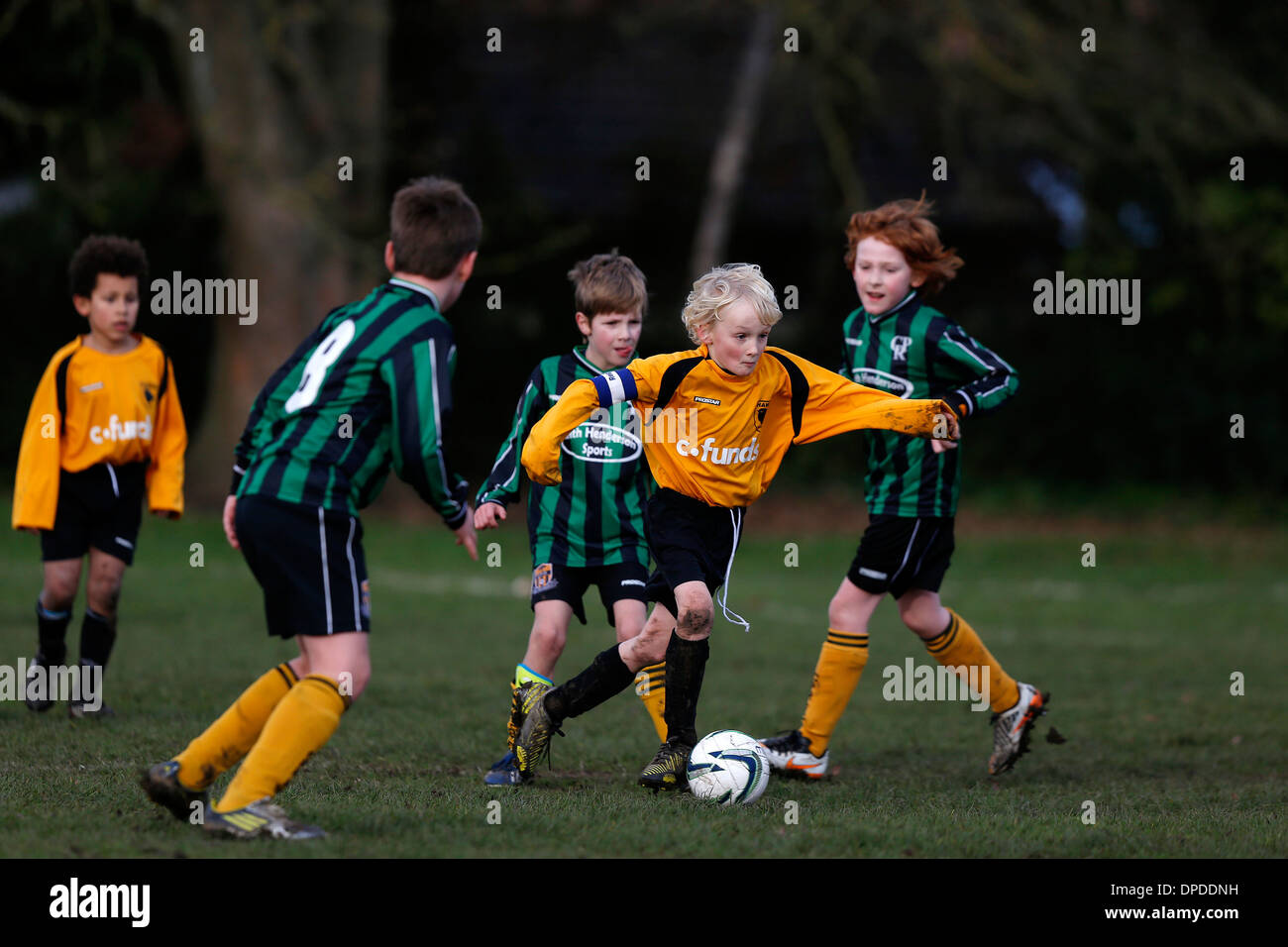 Hartley Wintney Falken junior Football Team (gelb) spielen Curley Park Rangers in einem Jugendfußball in Hampshire 14.12.13 übereinstimmen Stockfoto