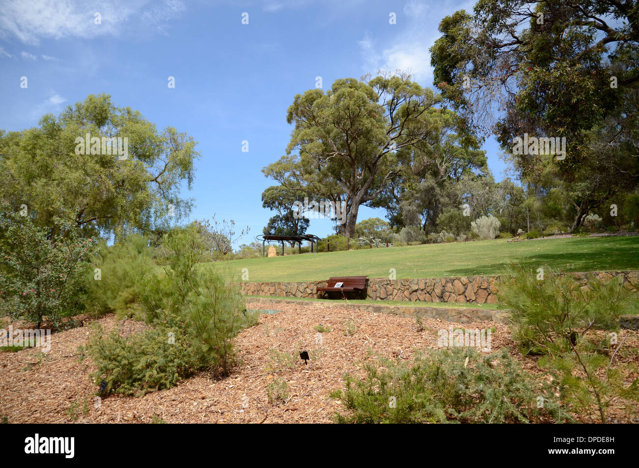 Kings Park in Perth, Western Australia, Australia Stockfoto