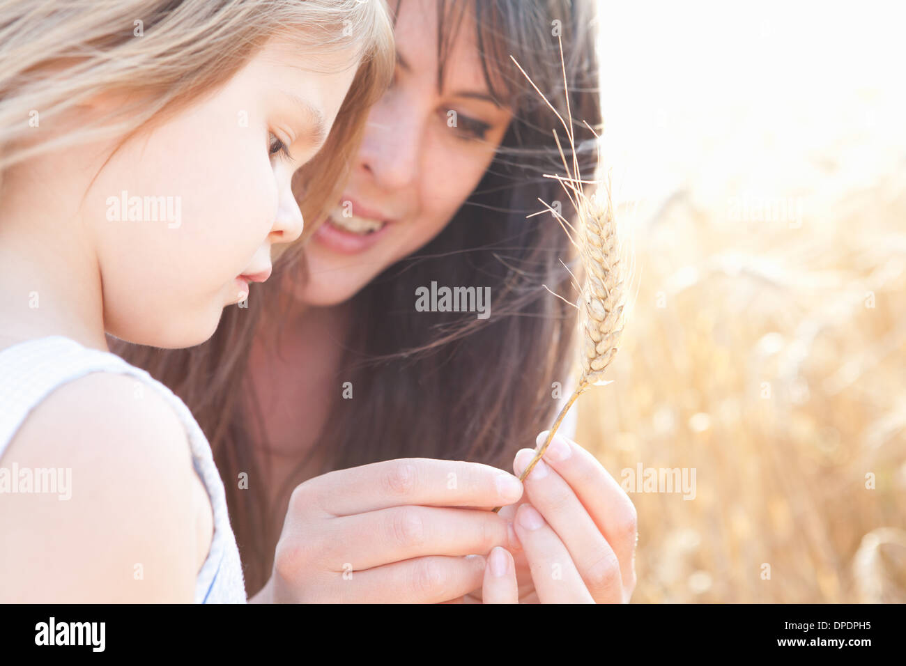 Mutter und Tochter schauen Weizenkorn Stockfoto