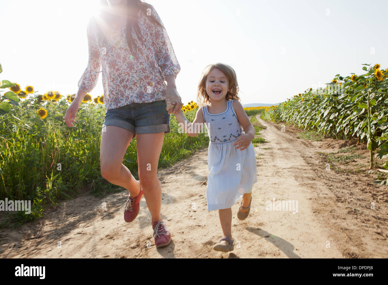 Mutter und Tochter läuft durch Feld von Sonnenblumen Stockfoto