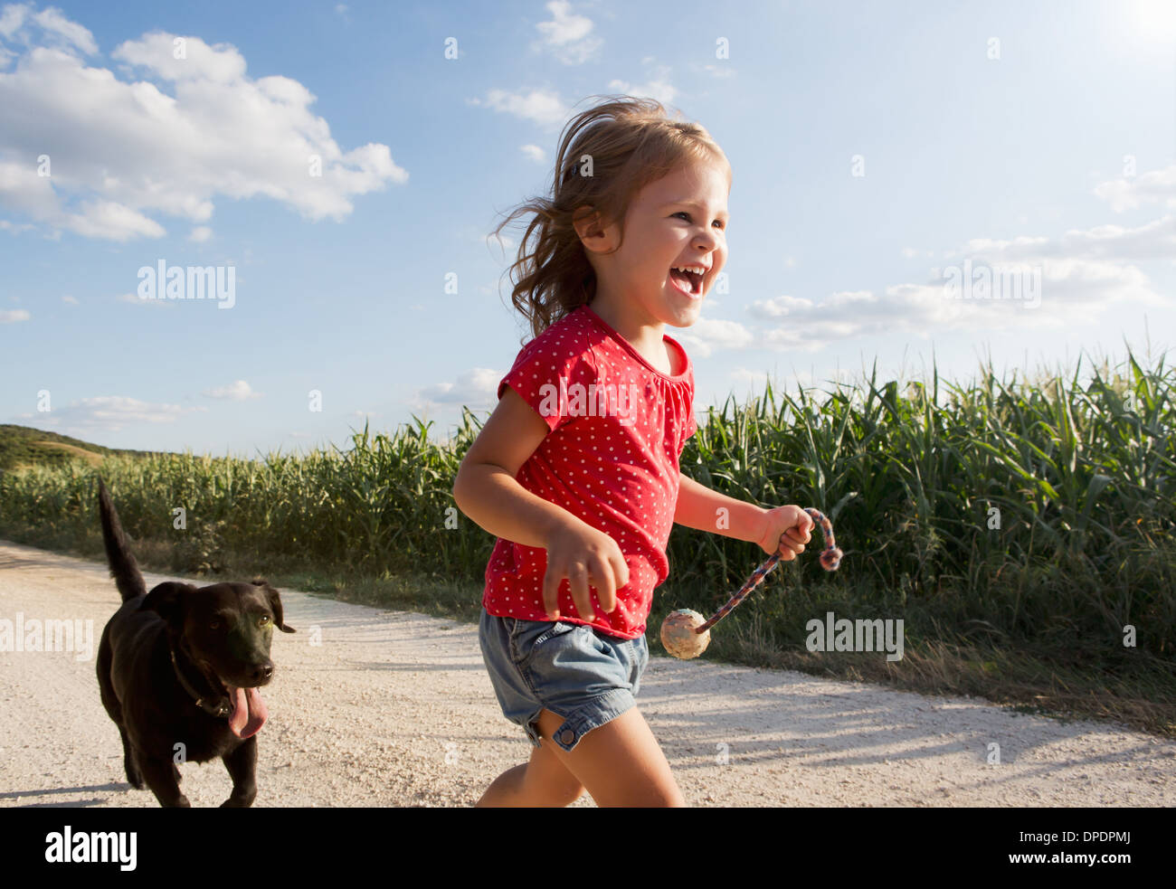 Mädchen und Hund läuft durch Feld Stockfoto