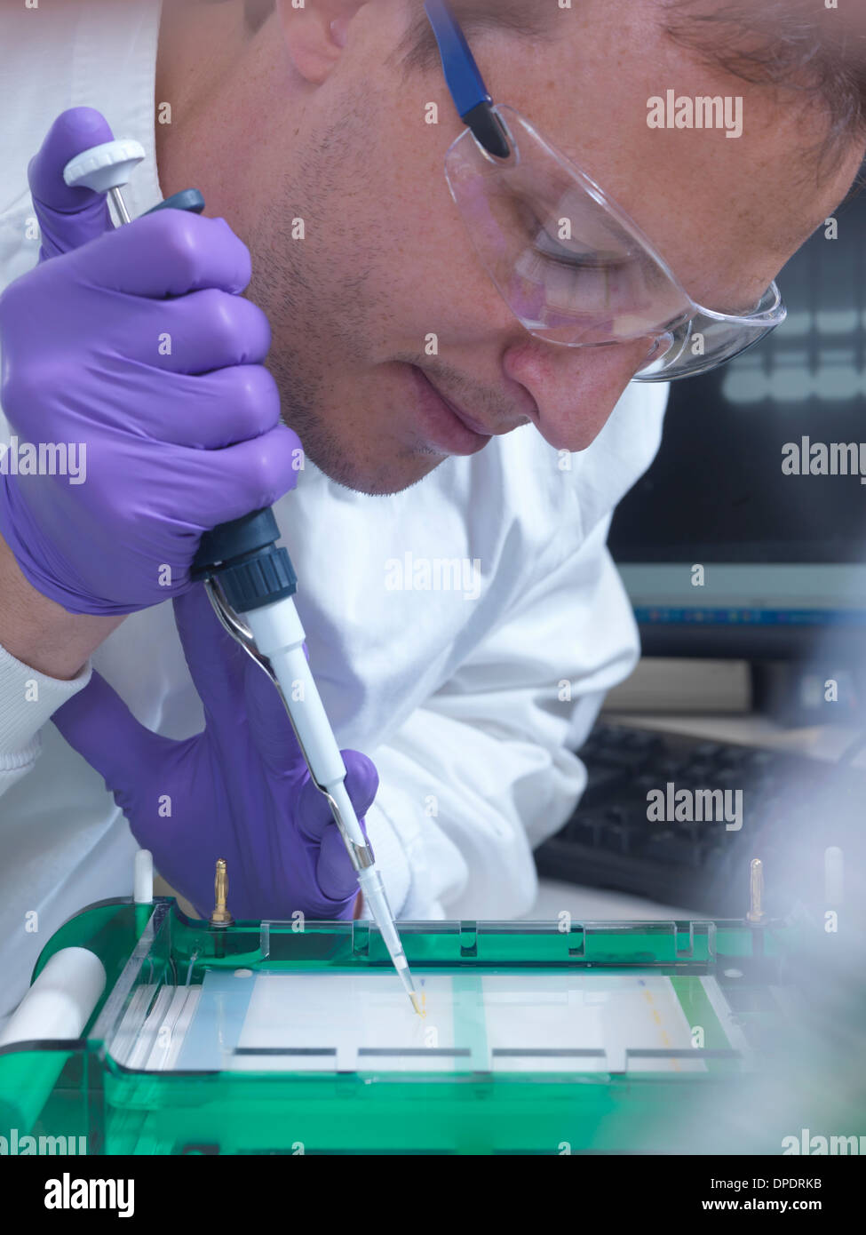 Forscher lädt eine DNA-Probe in einer Agarosegel für die Trennung von Elektrophorese Stockfoto