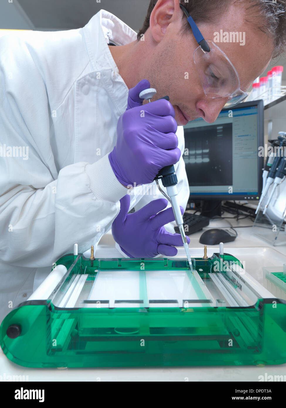 Forscher lädt eine DNA-Probe in einer Agarosegel für die Trennung von Elektrophorese Stockfoto